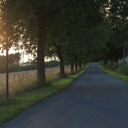 Fewo Harling - Waldsamkeit Bad Iburg Kültér fotó