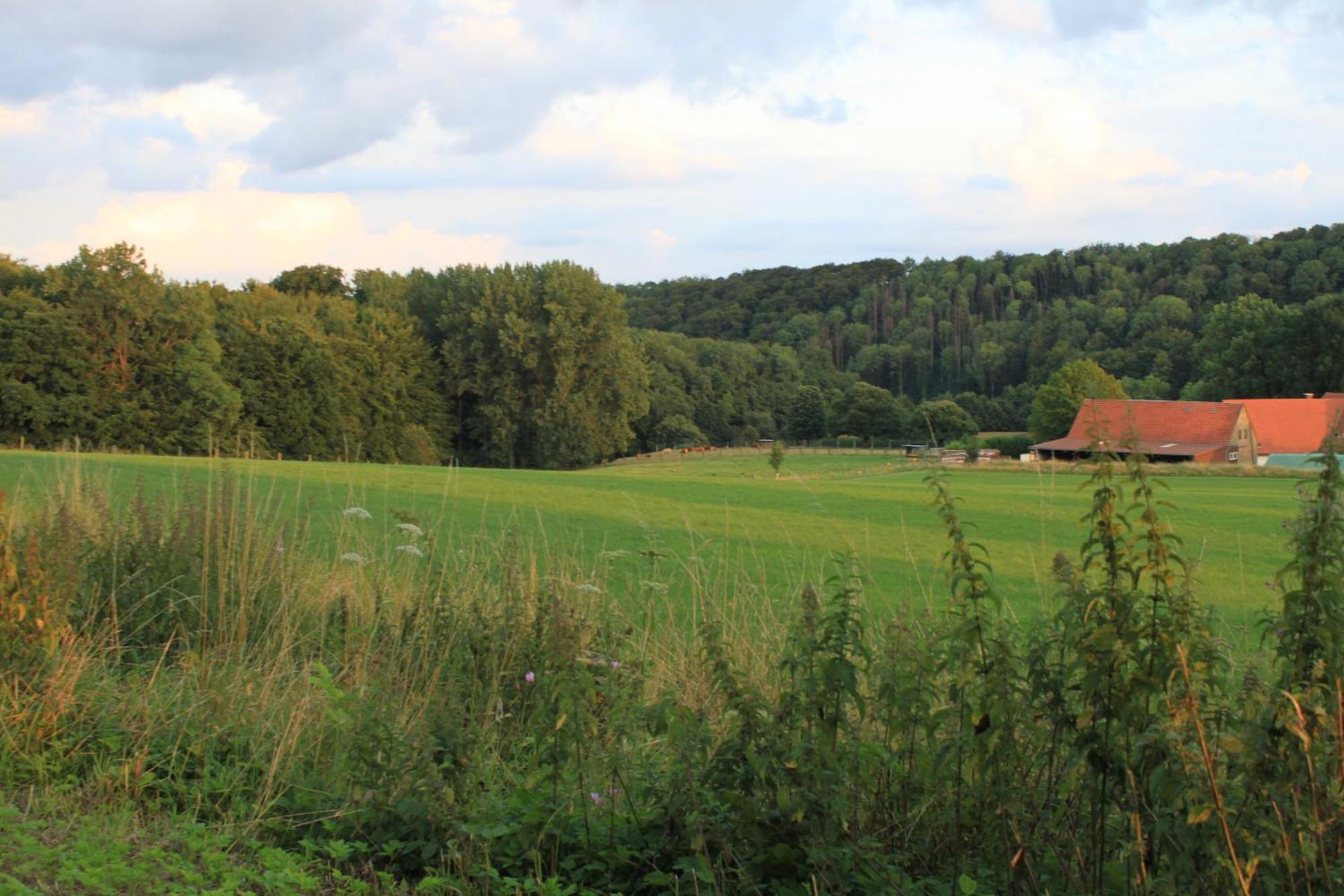 Fewo Harling - Waldsamkeit Bad Iburg Kültér fotó