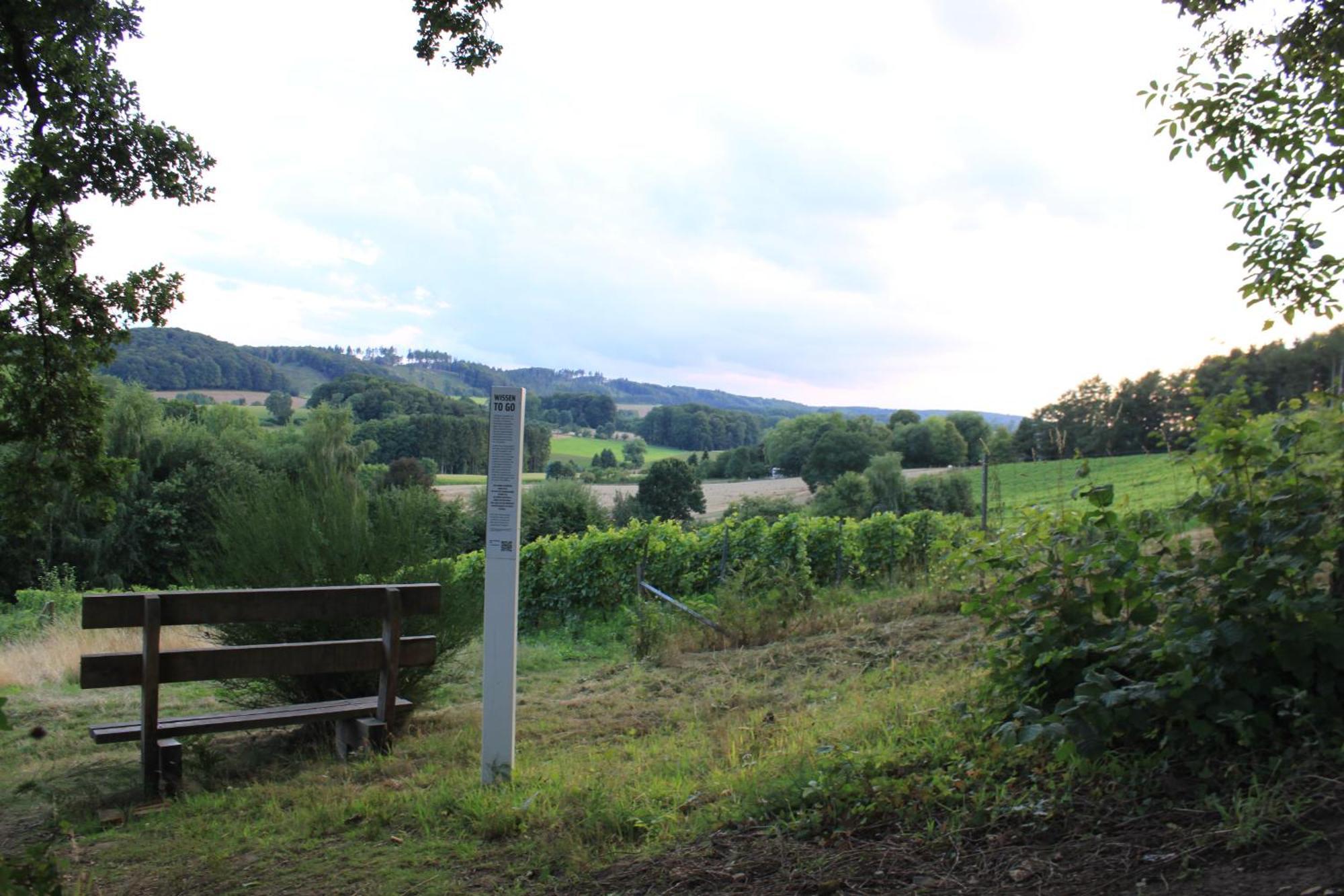 Fewo Harling - Waldsamkeit Bad Iburg Kültér fotó
